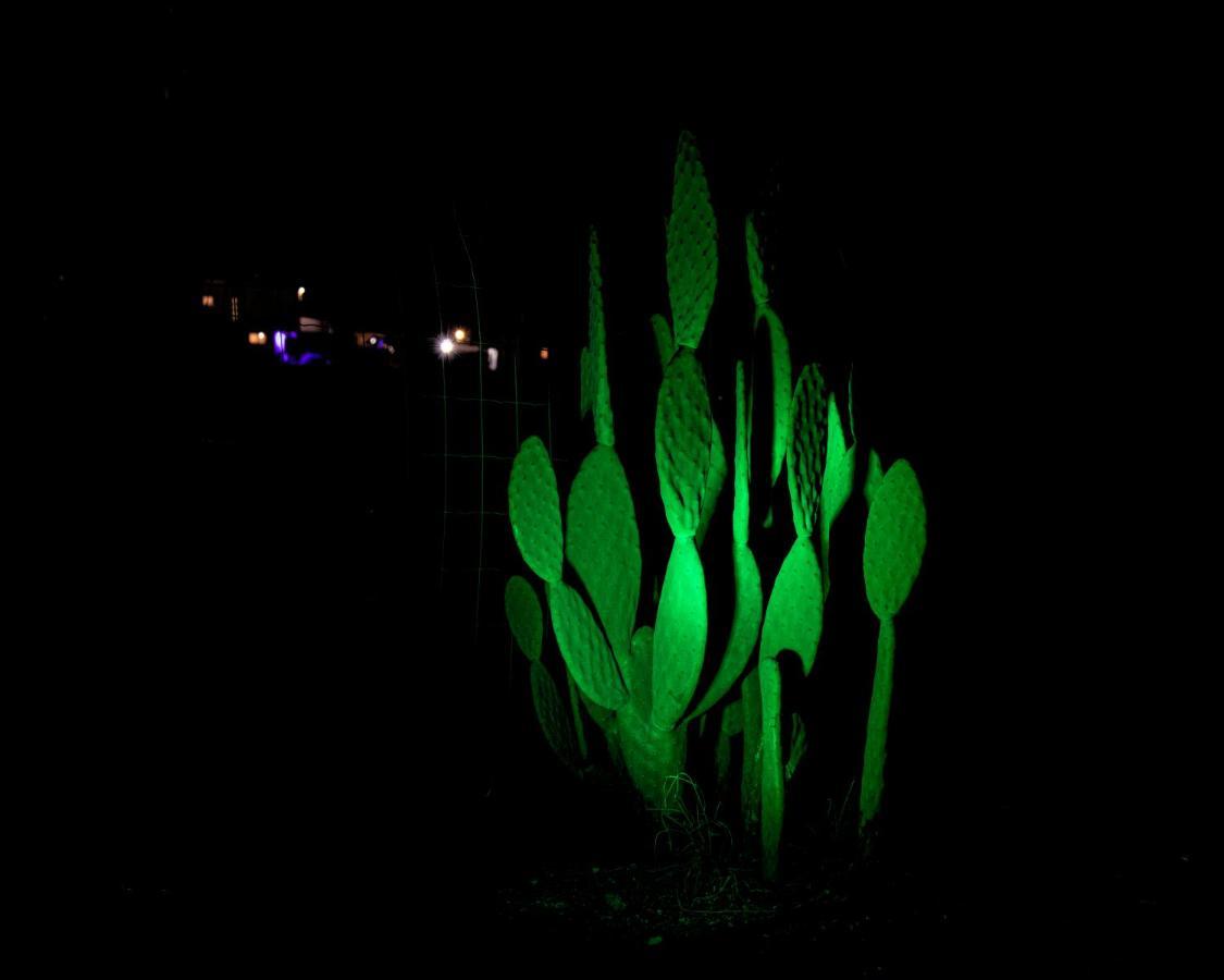 Moonlight Suite Arad צימר אור הירח, ערד Buitenkant foto